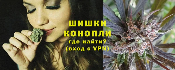 ПСИЛОЦИБИНОВЫЕ ГРИБЫ Наволоки