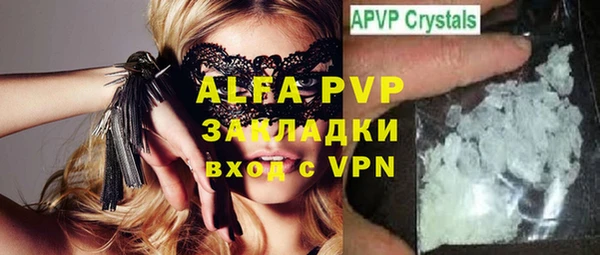 стаф Надым