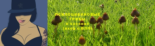 стаф Надым