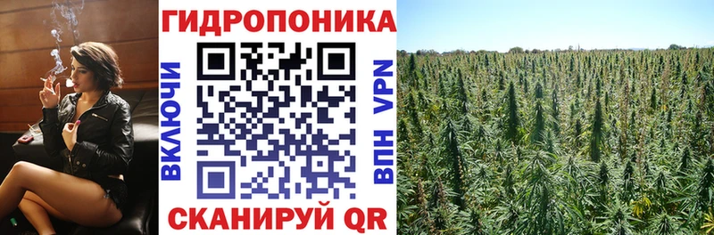 Канабис планчик  Купить  Котово 